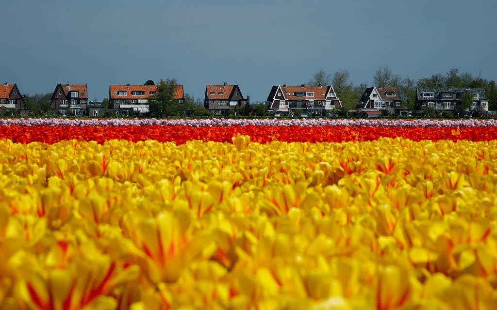 A Dutch municipality takes steps to digital sovereignty